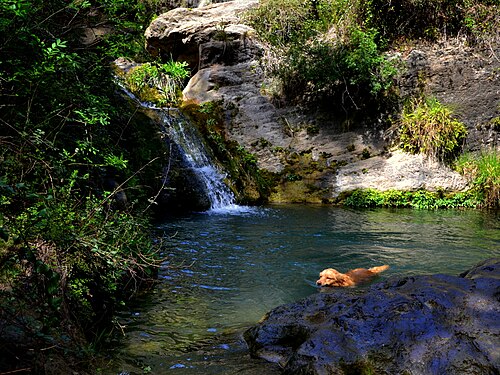 Font del Foix — natural hot spring